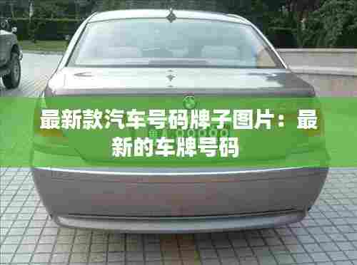 最新款汽车号码牌子图片:最新的车牌号码