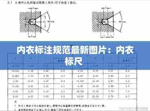 内衣标注规范最新图片:内衣标尺