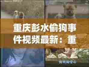 重庆彭水偷狗事件视频最新:重庆偷孩子最新消息