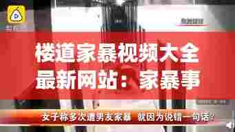 楼道家暴视频大全最新网站:家暴事件视频