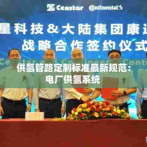 供氢管路定制标准最新规范:电厂供氢系统