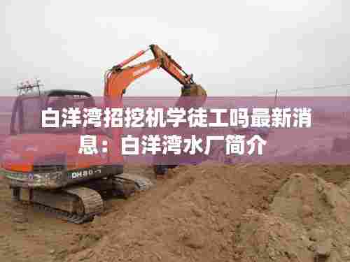 白洋湾招挖机学徒工吗最新消息：白洋湾水厂简介 