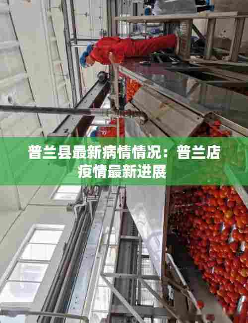 普兰县最新病情情况:普兰店疫情最新进展
