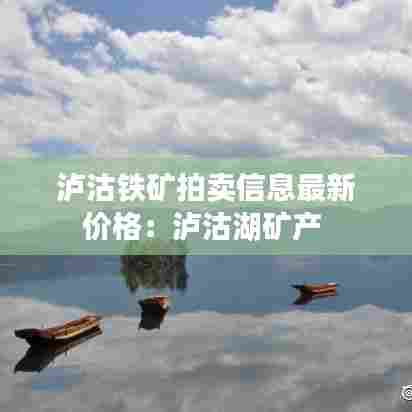 泸沽铁矿拍卖信息最新价格:泸沽湖矿产