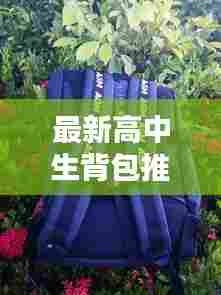 鸟骇鼠窜 第4页