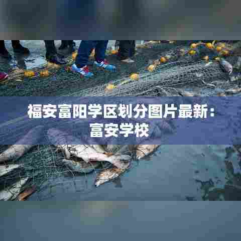 福安富阳学区划分图片最新:富安学校