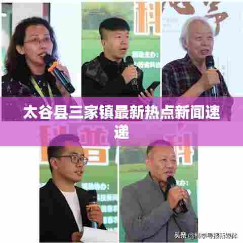 太谷县三家镇最新热点新闻速递