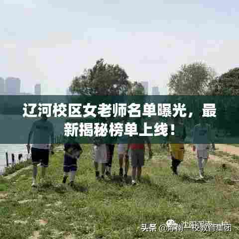 还淳反素 第3页