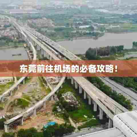 东莞前往机场的必备攻略!