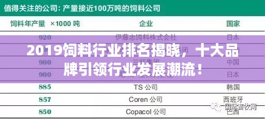 蓬荜生辉 第4页