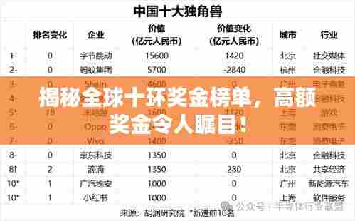 揭秘全球十环奖金榜单,高额奖金令人瞩目!