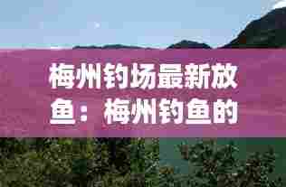 梅州钓场最新放鱼：梅州钓鱼的地方 