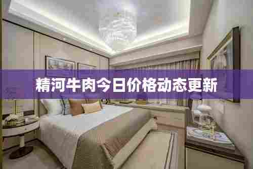 精河牛肉今日价格动态更新