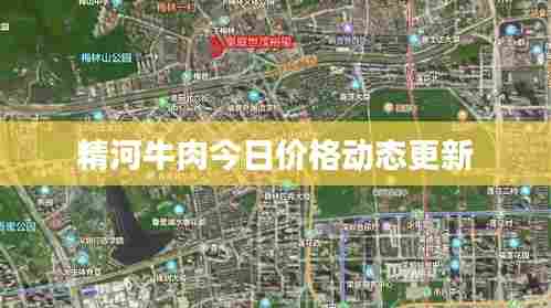 精河牛肉今日价格动态更新