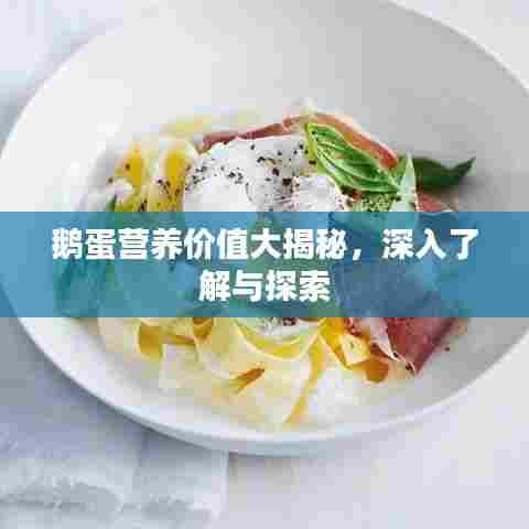 鹅蛋营养价值大揭秘,深入了解与探索