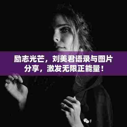 张皇铺饰 第4页