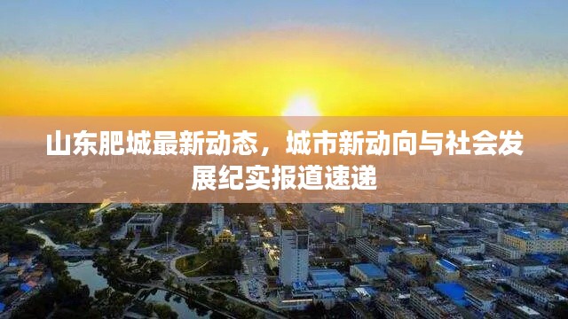 山东肥城最新动态,城市新动向与社会发展纪实报道速递