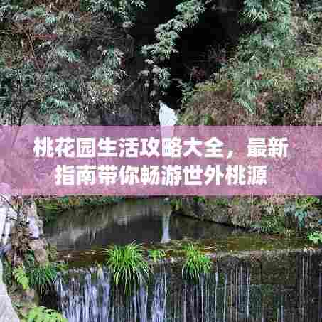 桃花园生活攻略大全，最新指南带你畅游世外桃源