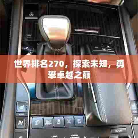 世界排名270,探索未知,勇攀卓越之巅
