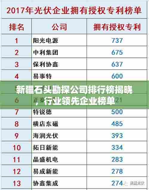 新疆石头勘探公司排行榜揭晓,行业领先企业榜单