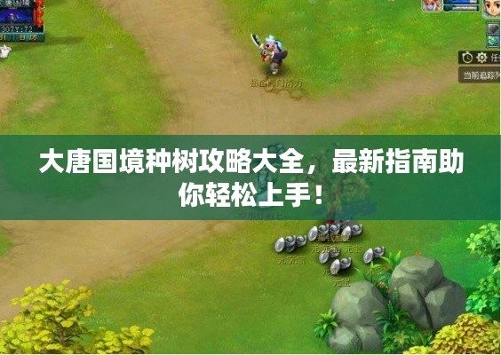 大唐国境种树攻略大全，最新指南助你轻松上手！