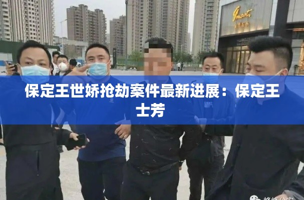 保定王世娇抢劫案件最新进展：保定王士芳 