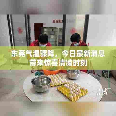 东莞气温骤降,今日最新消息带来惊喜清凉时刻