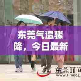 东莞气温骤降,今日最新消息带来惊喜清凉时刻