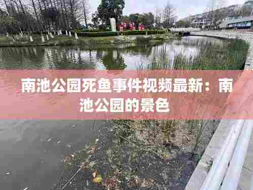 南池公园死鱼事件视频最新:南池公园的景色