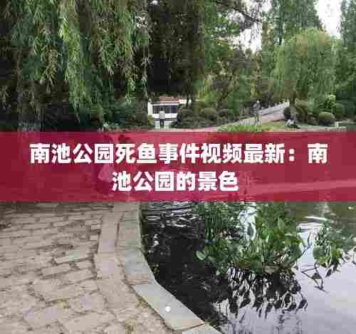 南池公园死鱼事件视频最新:南池公园的景色