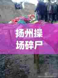 扬州操场碎尸案件视频最新：扬州杀妻碎尸案 