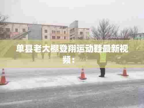 单县老大棚登翔运动鞋最新视频： 