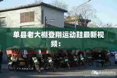 单县老大棚登翔运动鞋最新视频: