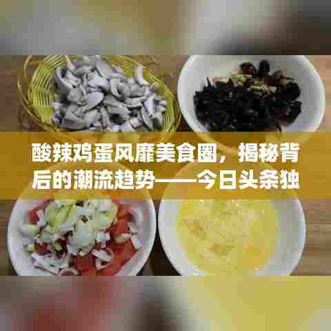 酸辣鸡蛋风靡美食圈,揭秘背后的潮流趋势——今日头条独家新闻