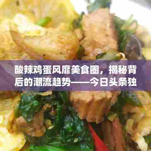 酸辣鸡蛋风靡美食圈,揭秘背后的潮流趋势——今日头条独家新闻