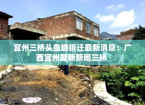 宜州三桥头鱼塘拆迁最新消息：广西宜州最新新闻三桥 