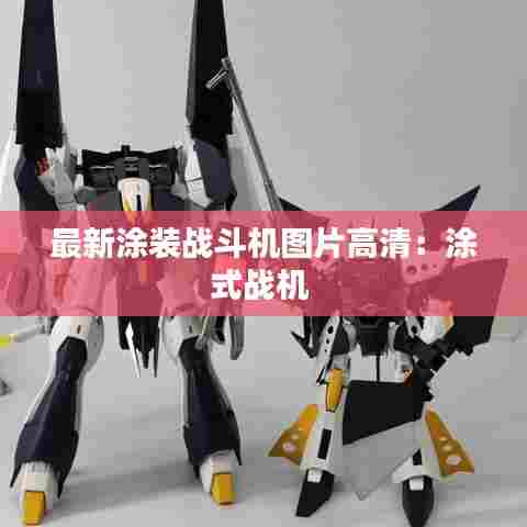 最新涂装战斗机图片高清：涂式战机 