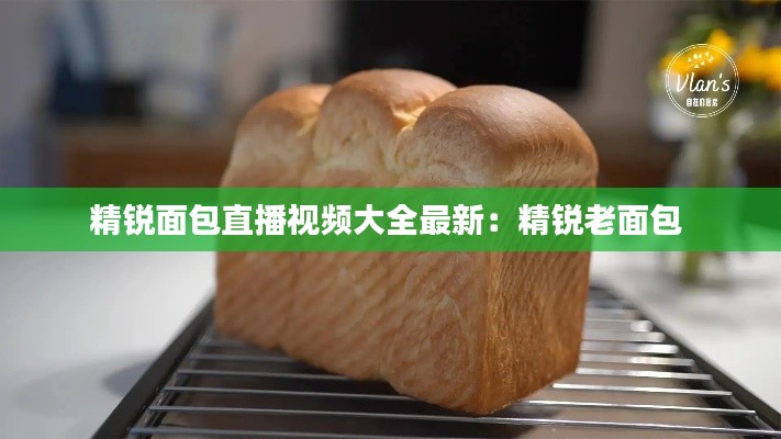 精锐面包直播视频大全最新:精锐老面包
