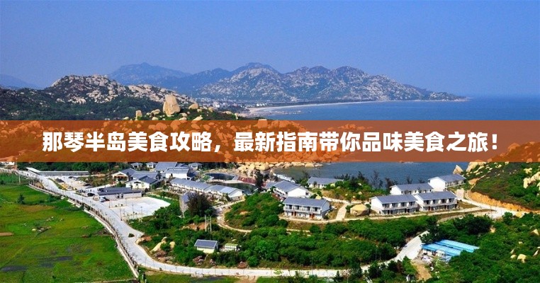 那琴半岛美食攻略，最新指南带你品味美食之旅！