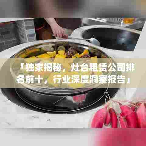 「独家揭秘，灶台租赁公司排名前十，行业深度洞察报告」