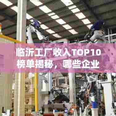 临沂工厂收入TOP10榜单揭秘，哪些企业成为高收入领跑者？