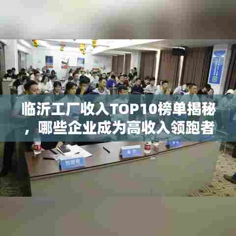 临沂工厂收入TOP10榜单揭秘,哪些企业成为高收入领跑者?