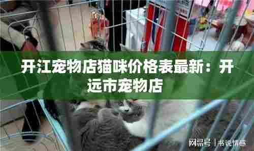 开江宠物店猫咪价格表最新:开远市宠物店