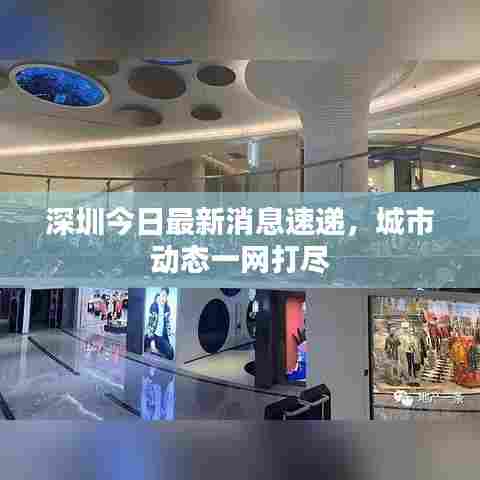深圳今日最新消息速递,城市动态一网打尽