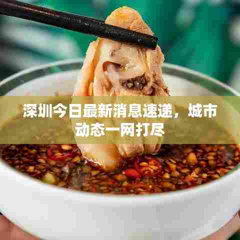 深圳今日最新消息速递,城市动态一网打尽