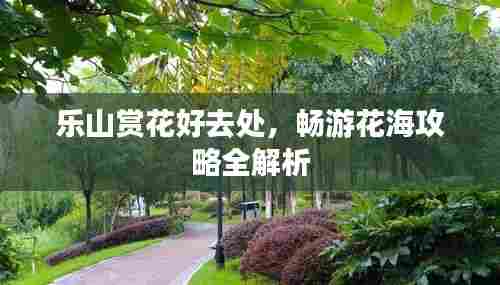 乐山赏花好去处，畅游花海攻略全解析