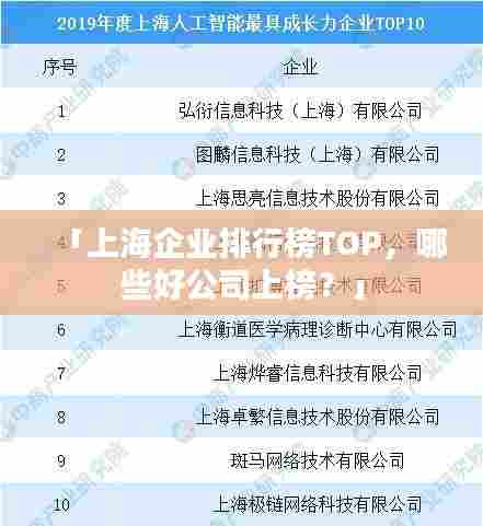 「上海企业排行榜TOP,哪些好公司上榜?」