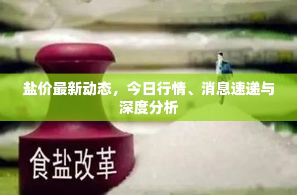 盐价最新动态，今日行情、消息速递与深度分析