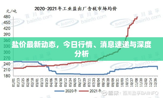 盐价最新动态,今日行情、消息速递与深度分析