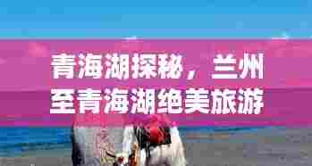 青海湖探秘,兰州至青海湖绝美旅游攻略!